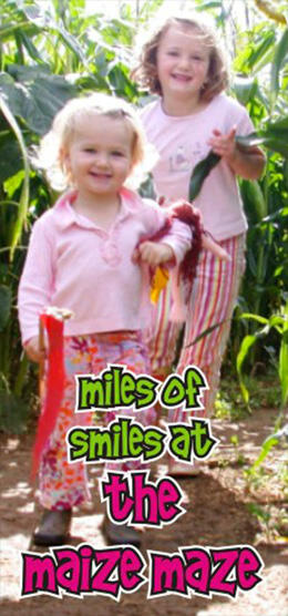 miles of smiles at the Maize Maze