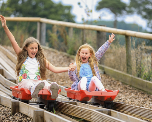 Lower Drayton Farm Grass Slide