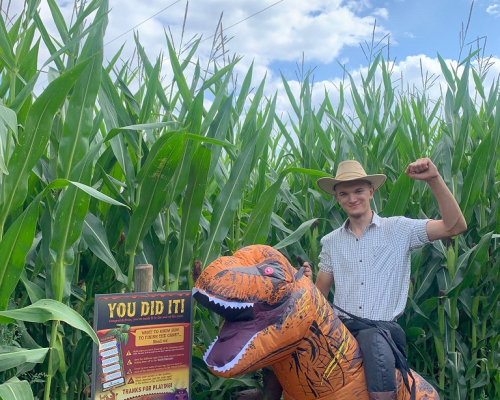 Lower Drayton Farm Maize Maze Dino