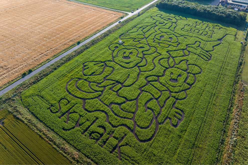 Skylark Maize Maze and Funyard
