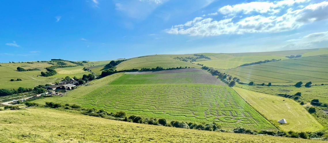 Maize Maze Locations | South Farm Rodmell, Lewes, East Sussex