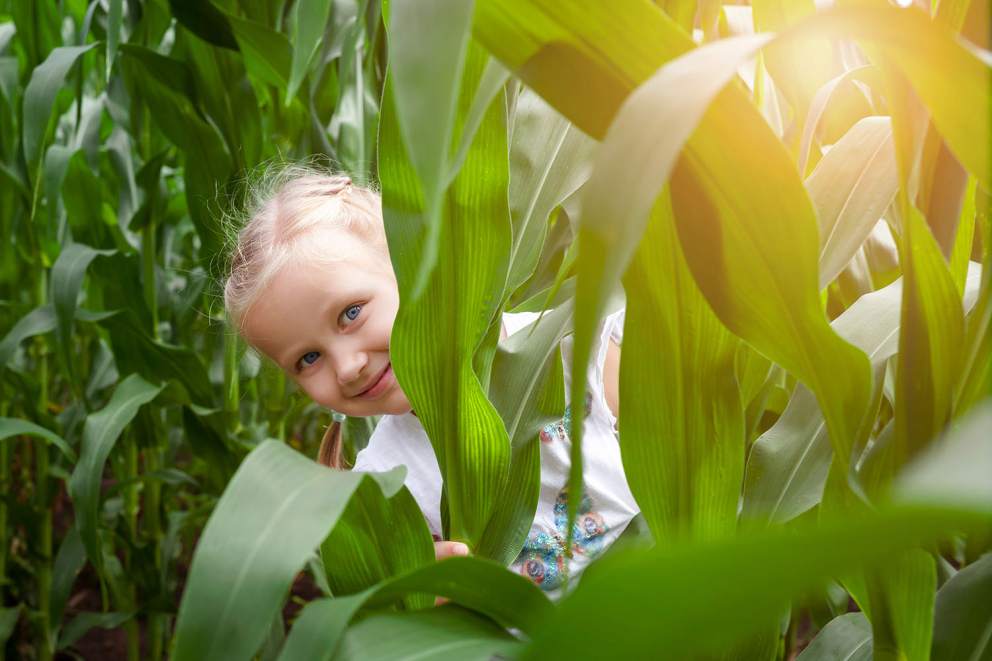 Girl in Maize Maze