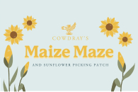 Cowdray's Maize Maze