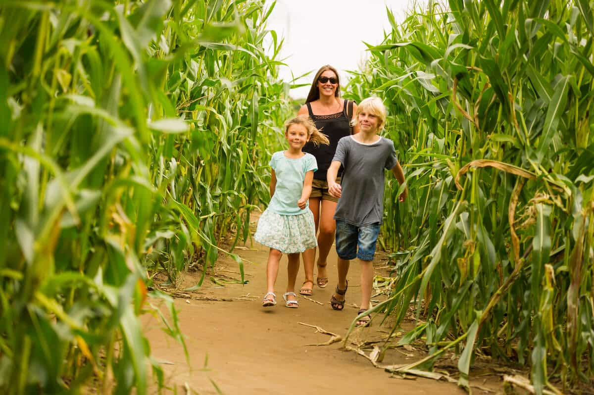 www.maize-maze.com